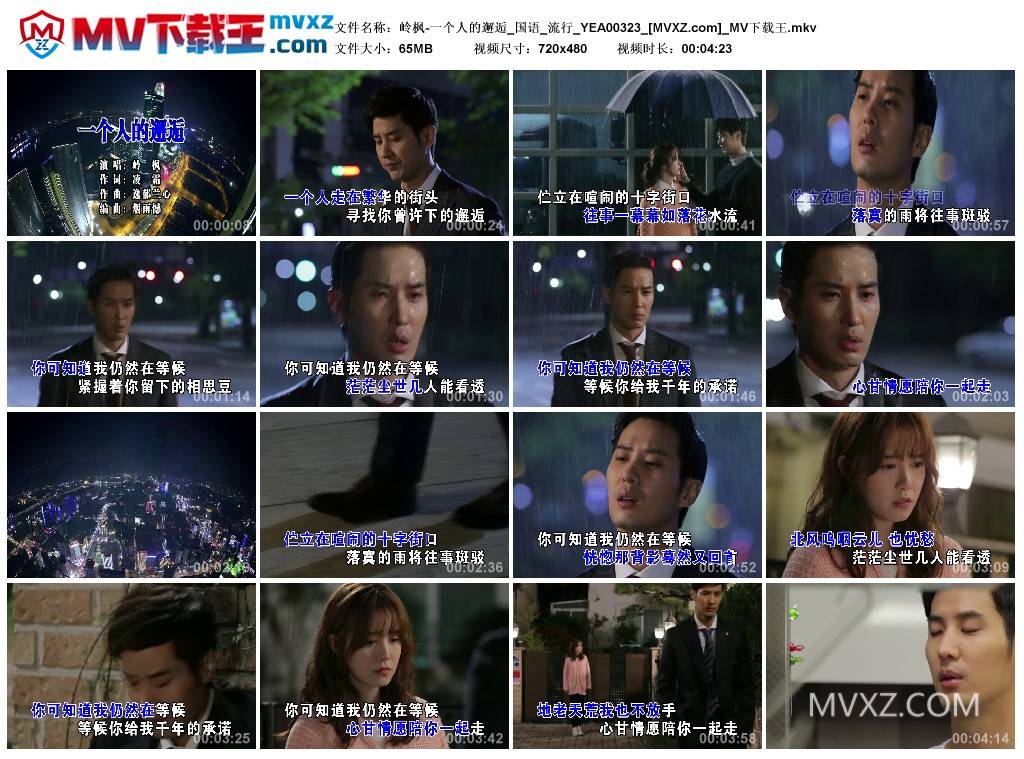 岭枫-一个人的邂逅_国语_流行_YEA00323